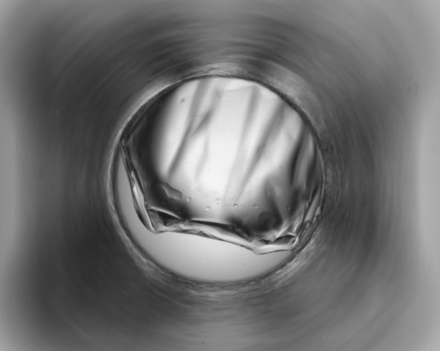 X0000094331426200711301219