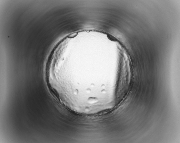 X0000094331427200711301219