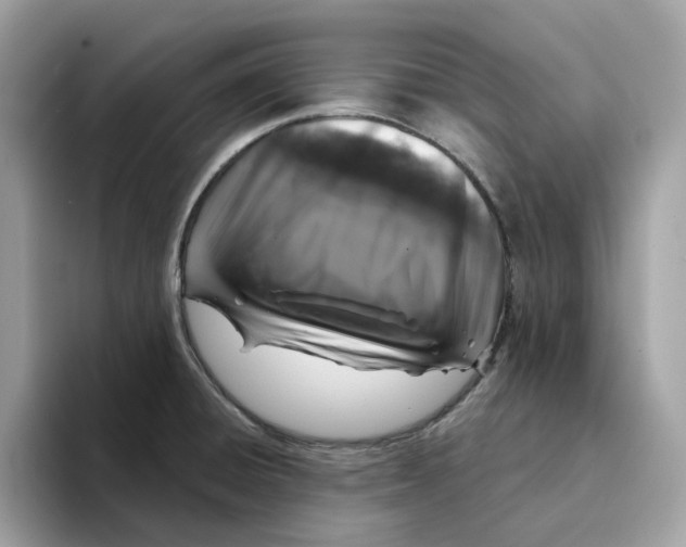 X0000094331428200711301219