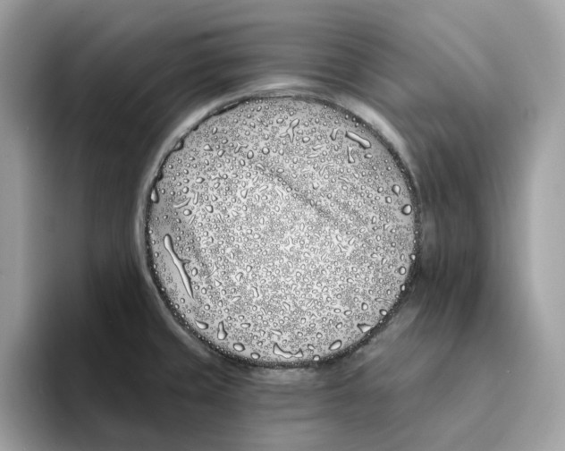 X0000094331429200711301219