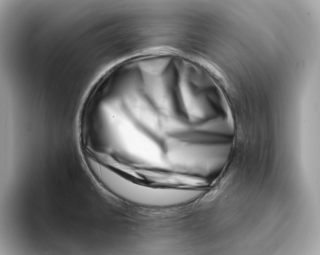 X0000094331430200711301219