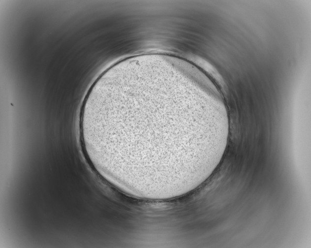 X0000094331431200711301219