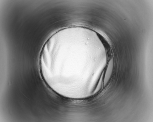 X0000094331439200711301219