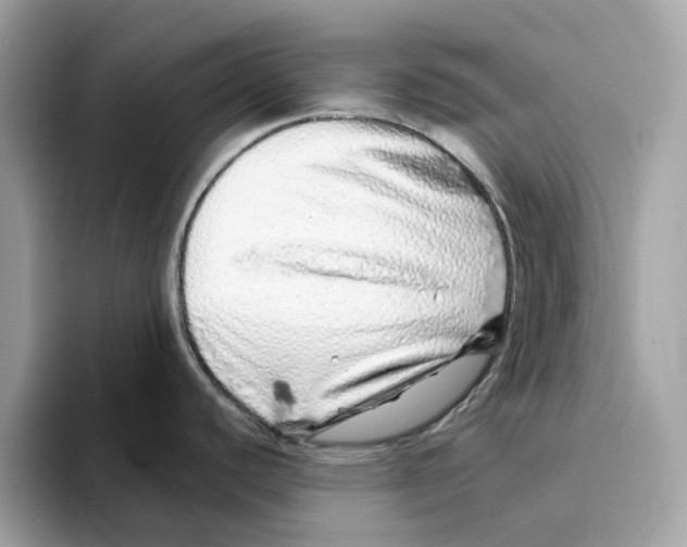 X0000094331440200711301219