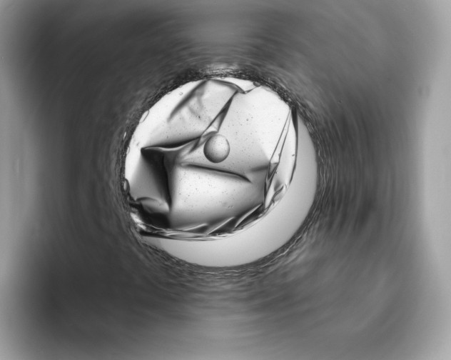 X0000094331441200711301219