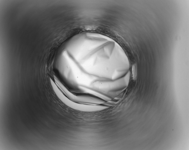 X0000094331443200711301219