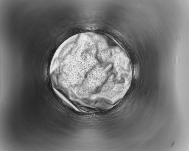 X0000094331444200711301219