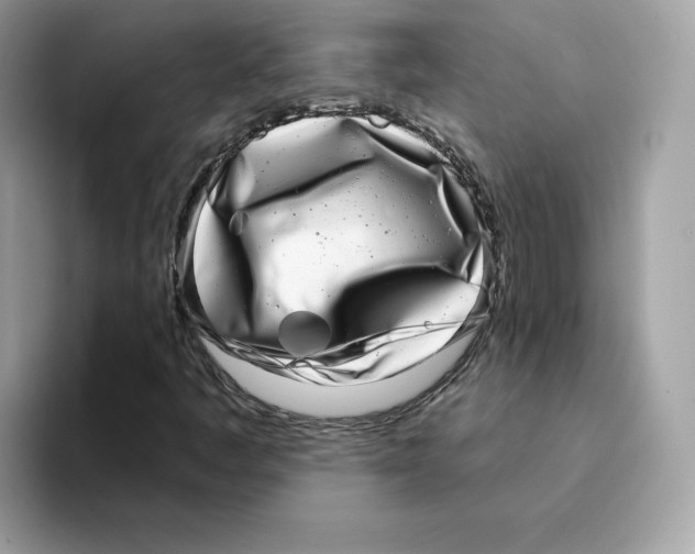 X0000094331445200711301219