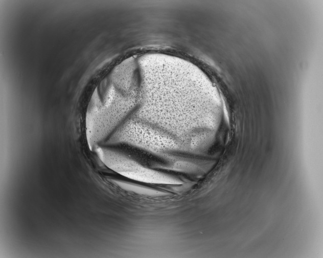 X0000094331448200711301219