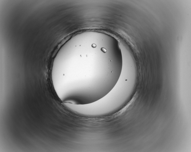 X0000094331449200711301219