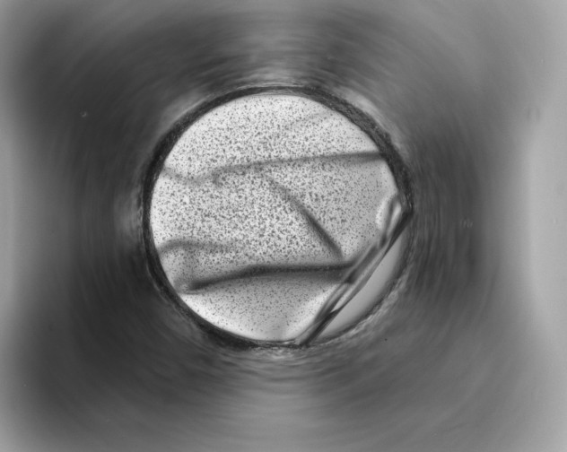 X0000094331450200711301219