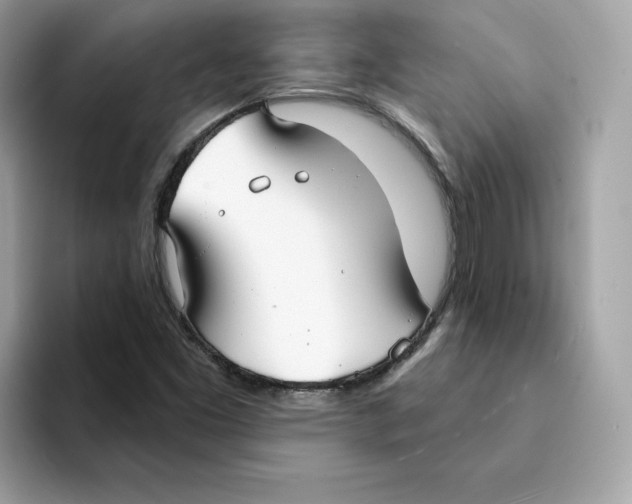 X0000094331453200711301219