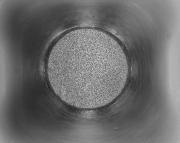 X0000094331454200711301219