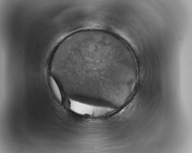 X0000094331455200711301219