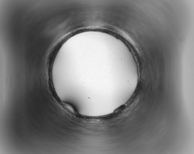 X0000094331456200711301219