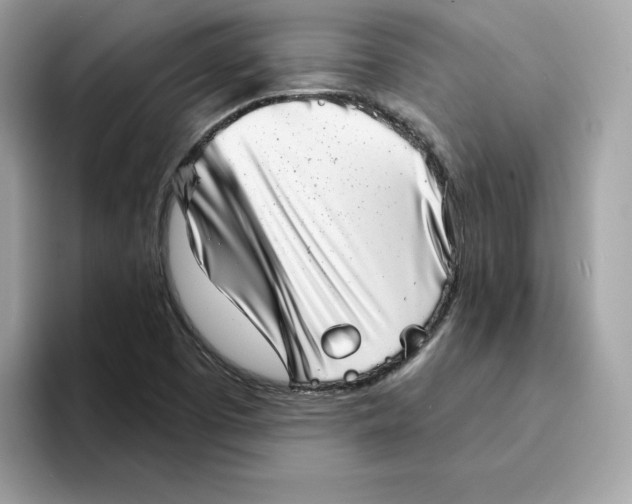 X0000094331457200711301219