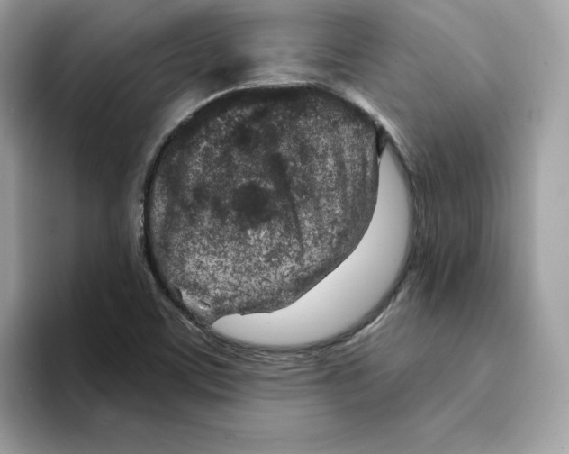 X0000094331459200711301219