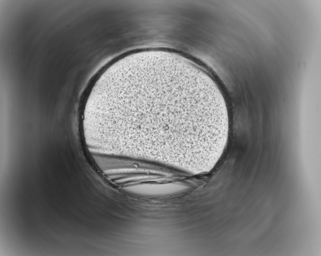 X0000094331460200711301219