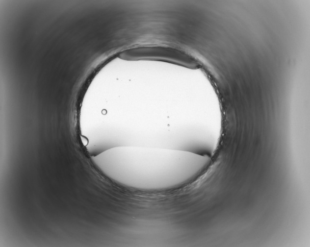 X0000094331461200711301219