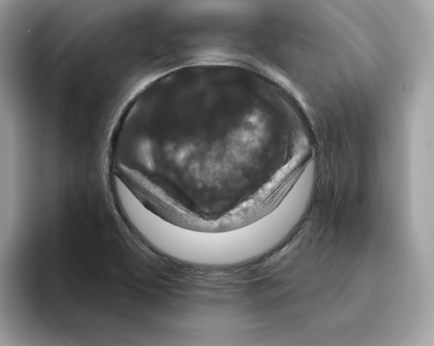 X0000094331463200711301219