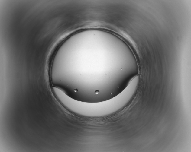 X0000094331464200711301219