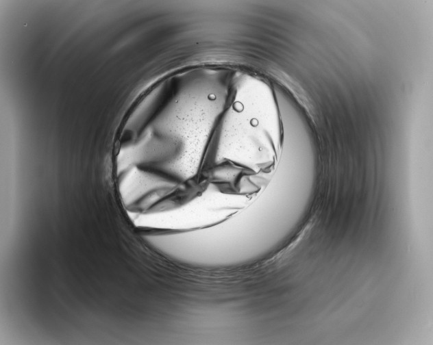 X0000094331465200711301219