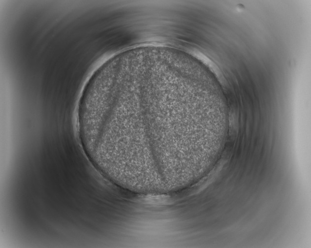 X0000094331466200711301219