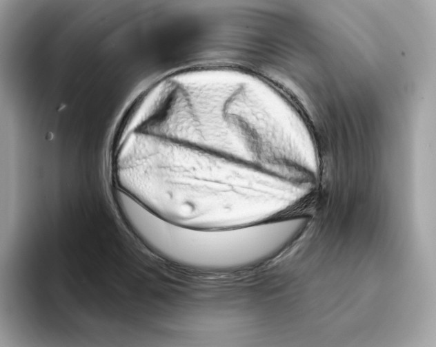 X0000094331467200711301218