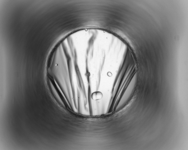 X0000094331469200711301218