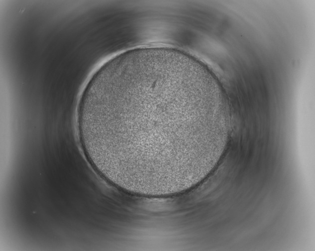 X0000094331470200711301218