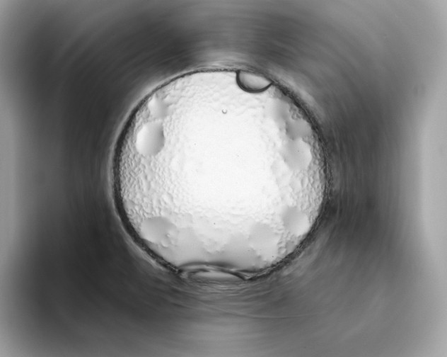 X0000094331471200711301218