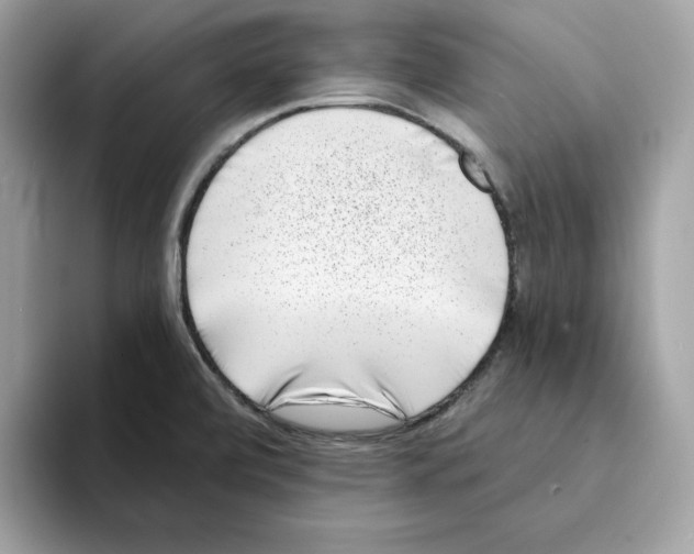 X0000094331472200711301218