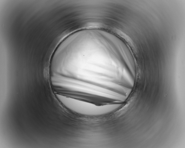 X0000094331473200711301218