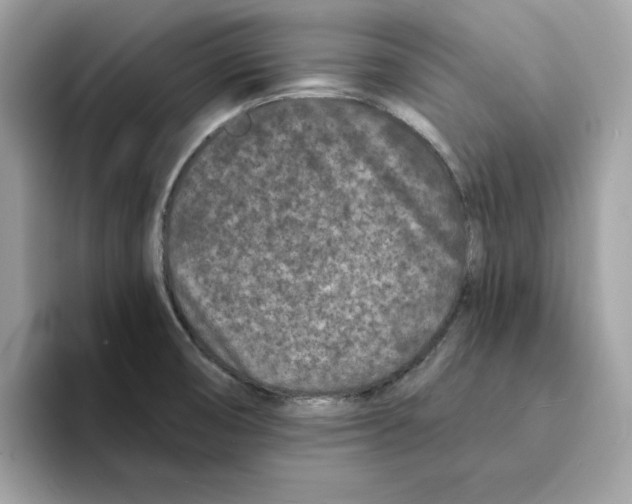 X0000094331474200711301218