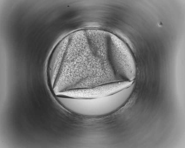 X0000094331475200711301218