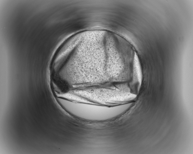 X0000094331476200711301218