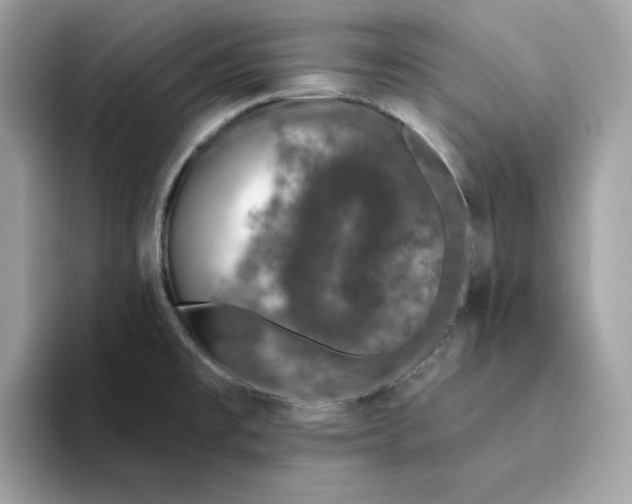 X0000094331477200711301218