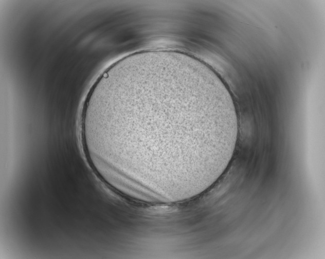 X0000094331478200711301218