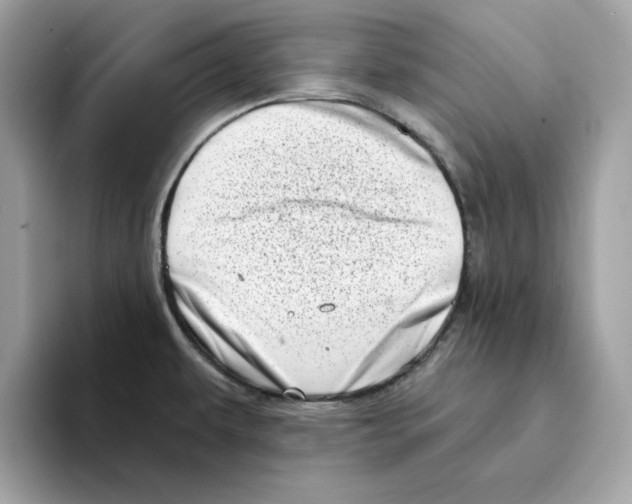 X0000094331479200711301218