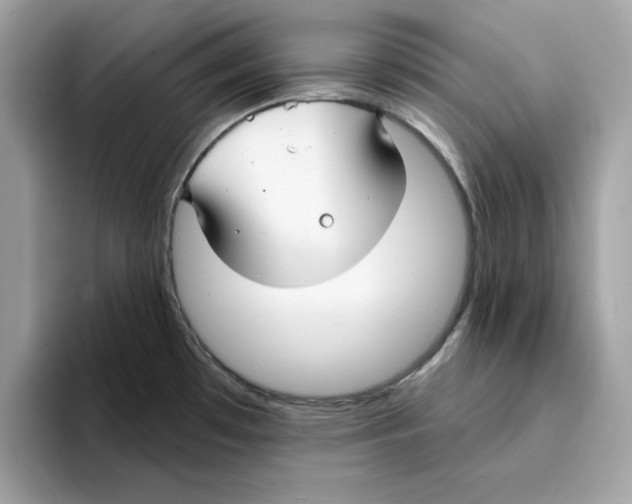 X0000094331481200711301218