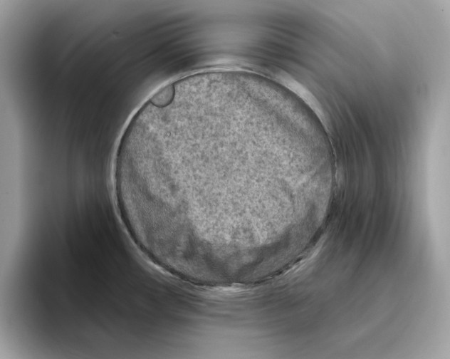 X0000094331482200711301218