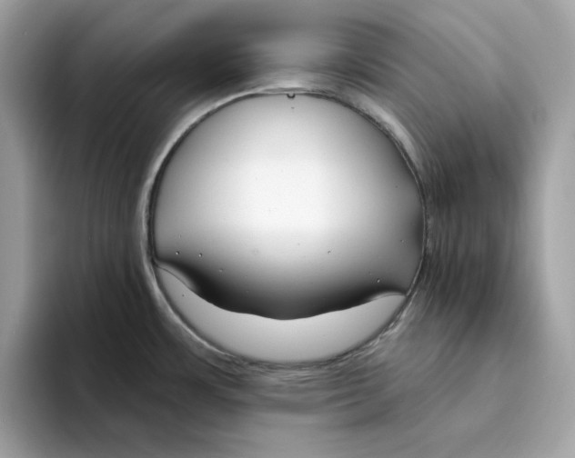 X0000094331483200711301218