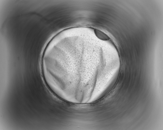 X0000094331486200711301218