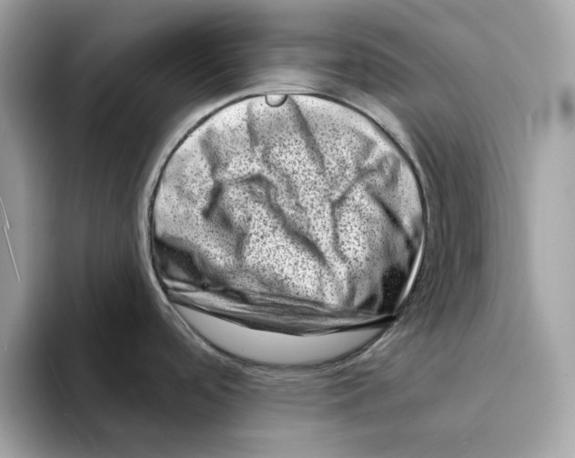 X0000094331488200711301218