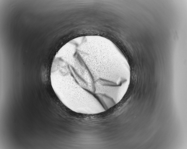 X0000094331490200711301218