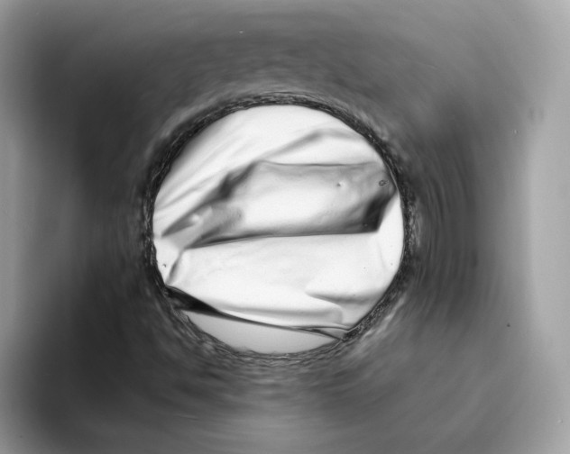 X0000094331494200711301218