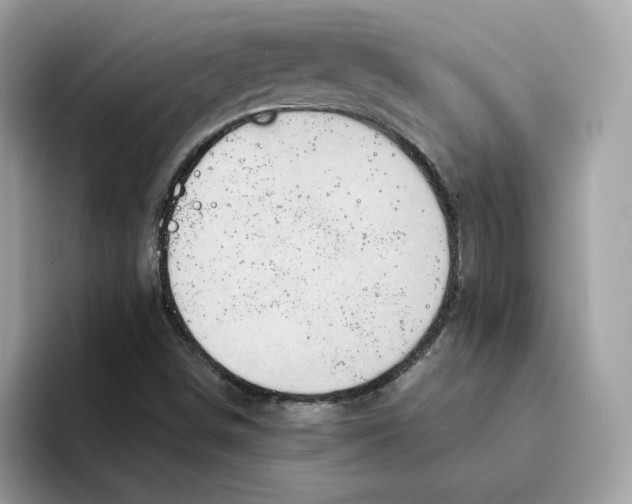 X0000094331498200711301218