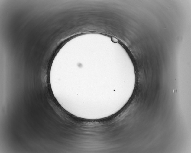 X0000094331499200711301218