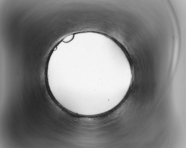 X0000094331500200711301218