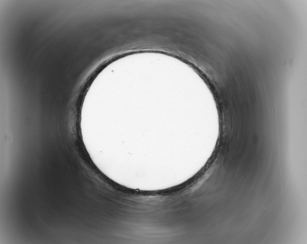 X0000094331502200711301218